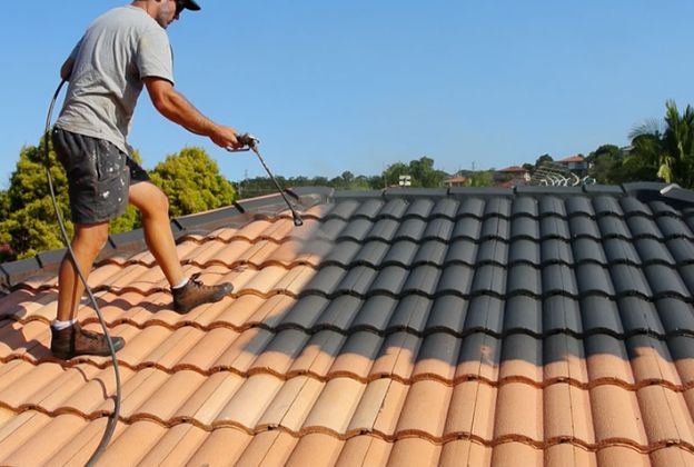 Roof Painting